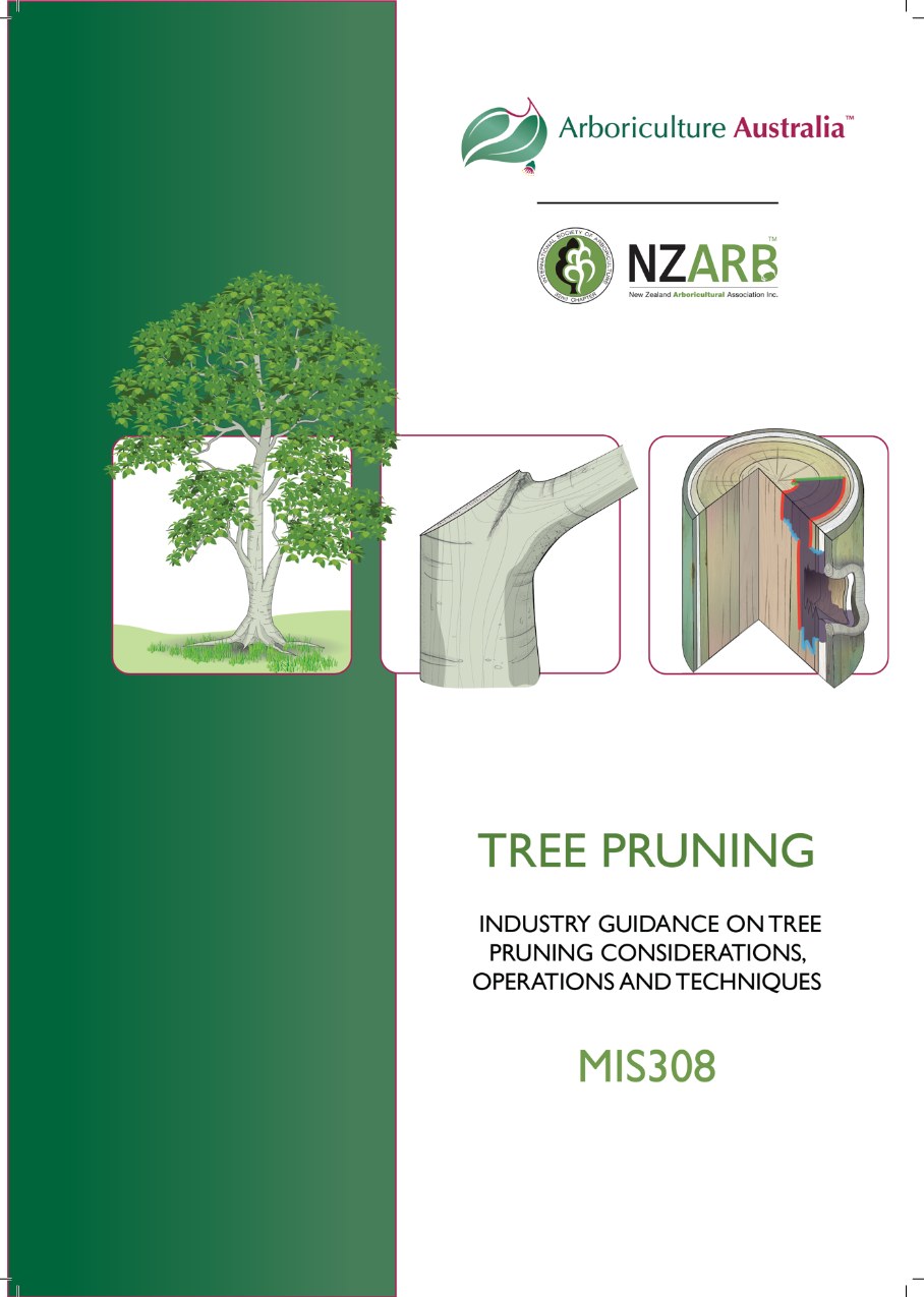 Cover of MIS308 Tree Pruning